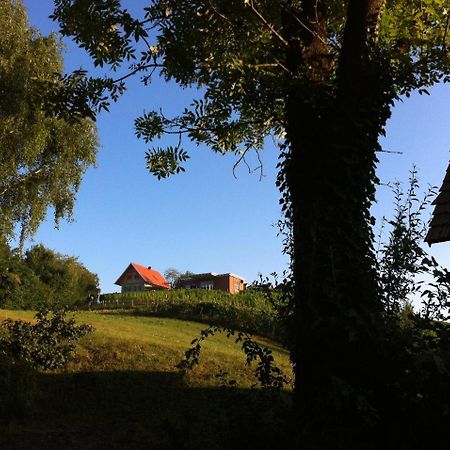 Ferienhaeuser Im Weingarten Fehring Kültér fotó