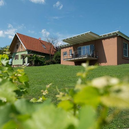 Ferienhaeuser Im Weingarten Fehring Kültér fotó