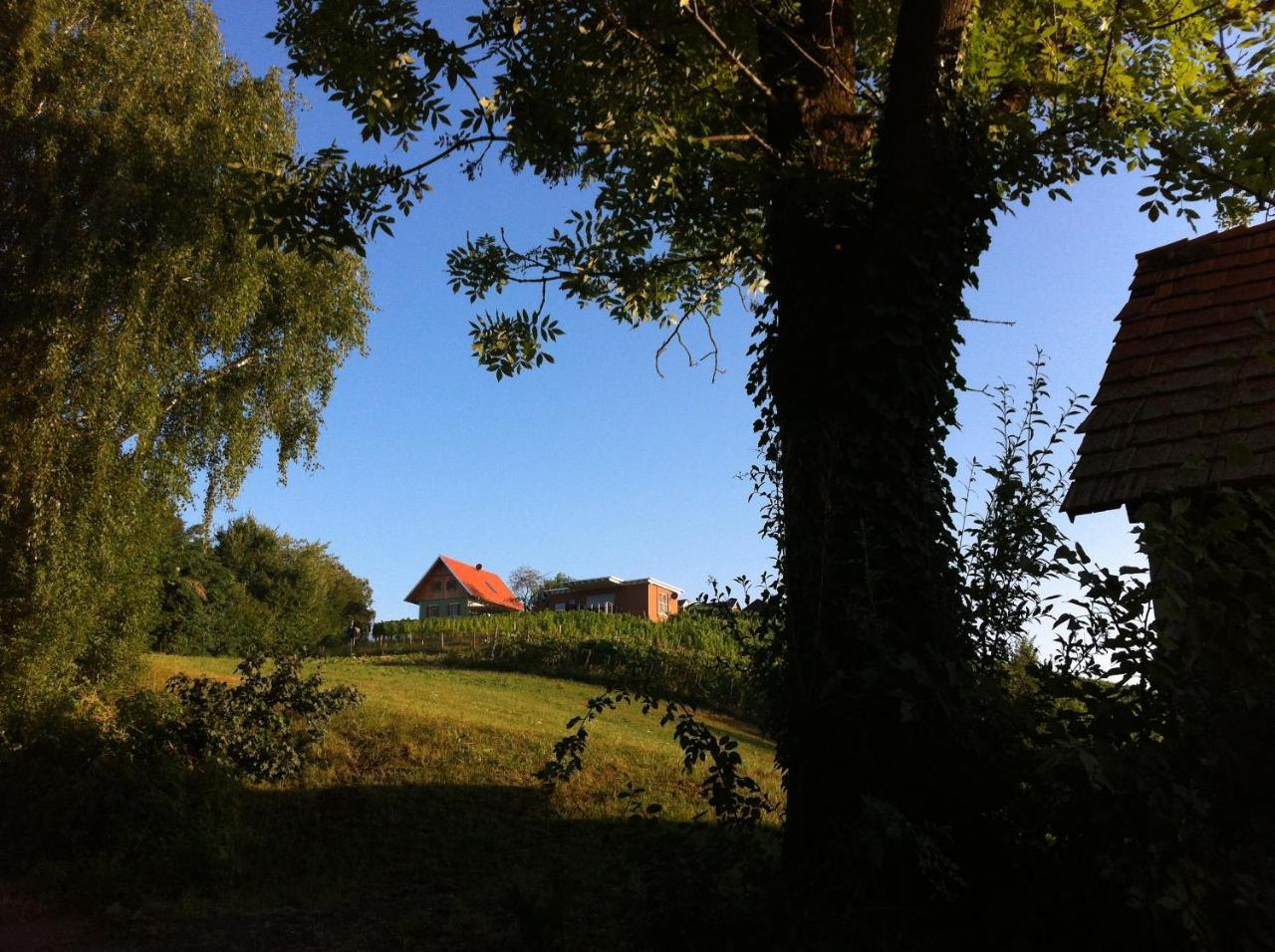 Ferienhaeuser Im Weingarten Fehring Kültér fotó