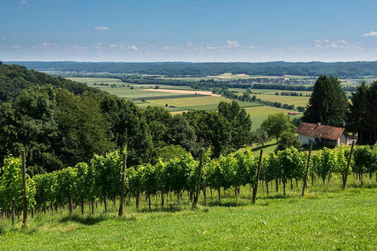 Ferienhaeuser Im Weingarten Fehring Kültér fotó